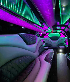 colorful limo features